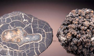 Polymetallic nodule