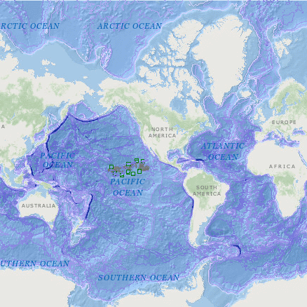 world_map_square