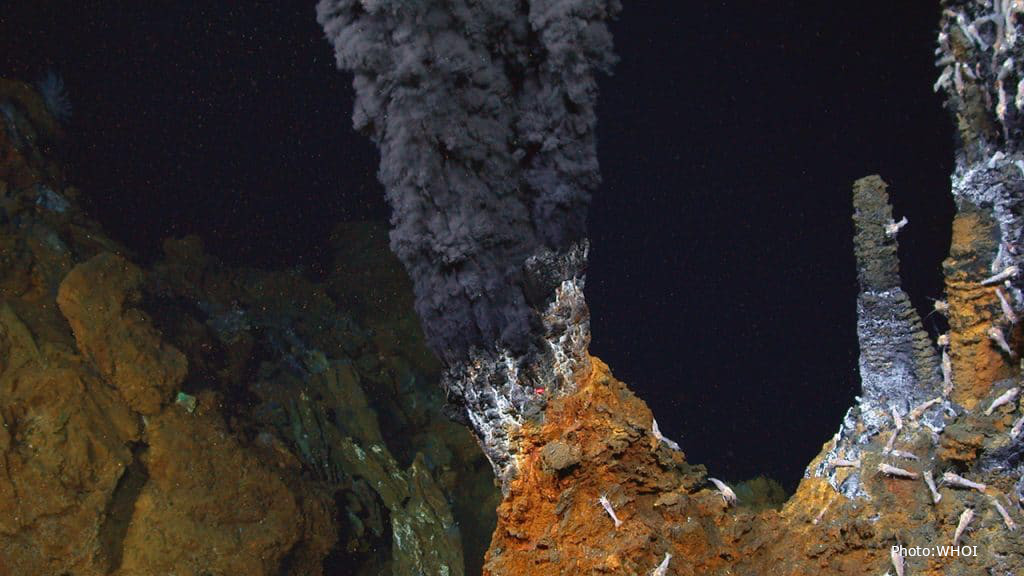 WHOI hydrothermal vent
